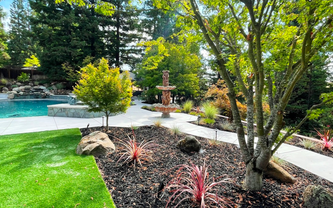 Backyard Transformation