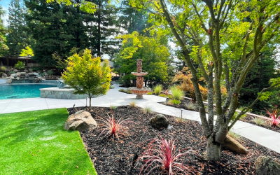 Backyard Transformation